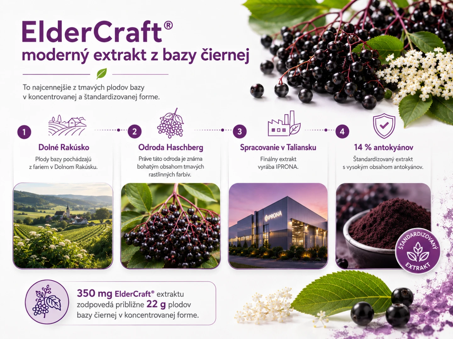 ElderCraft® - moderný extrakt z bazy čiernej