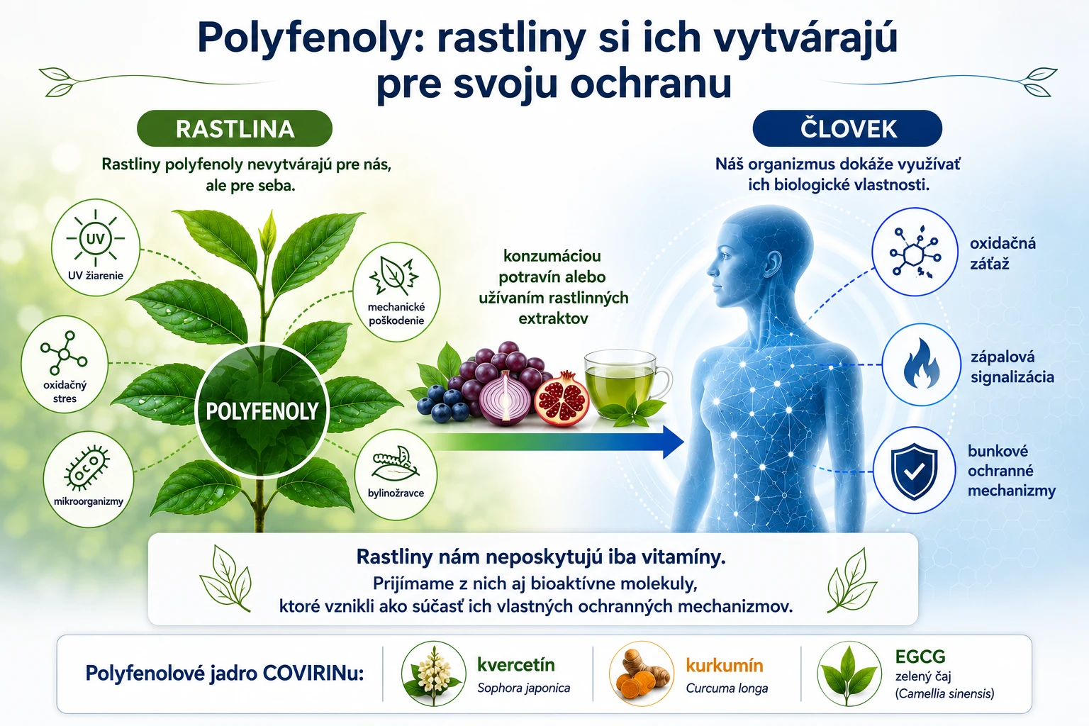 ovocie a zelenina obsahujú vitamíny