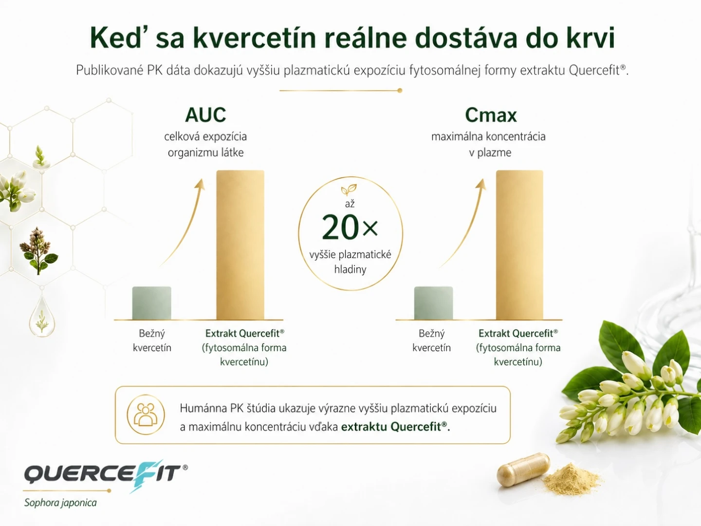 keď sa kvercetín reálne dostáva do krvi