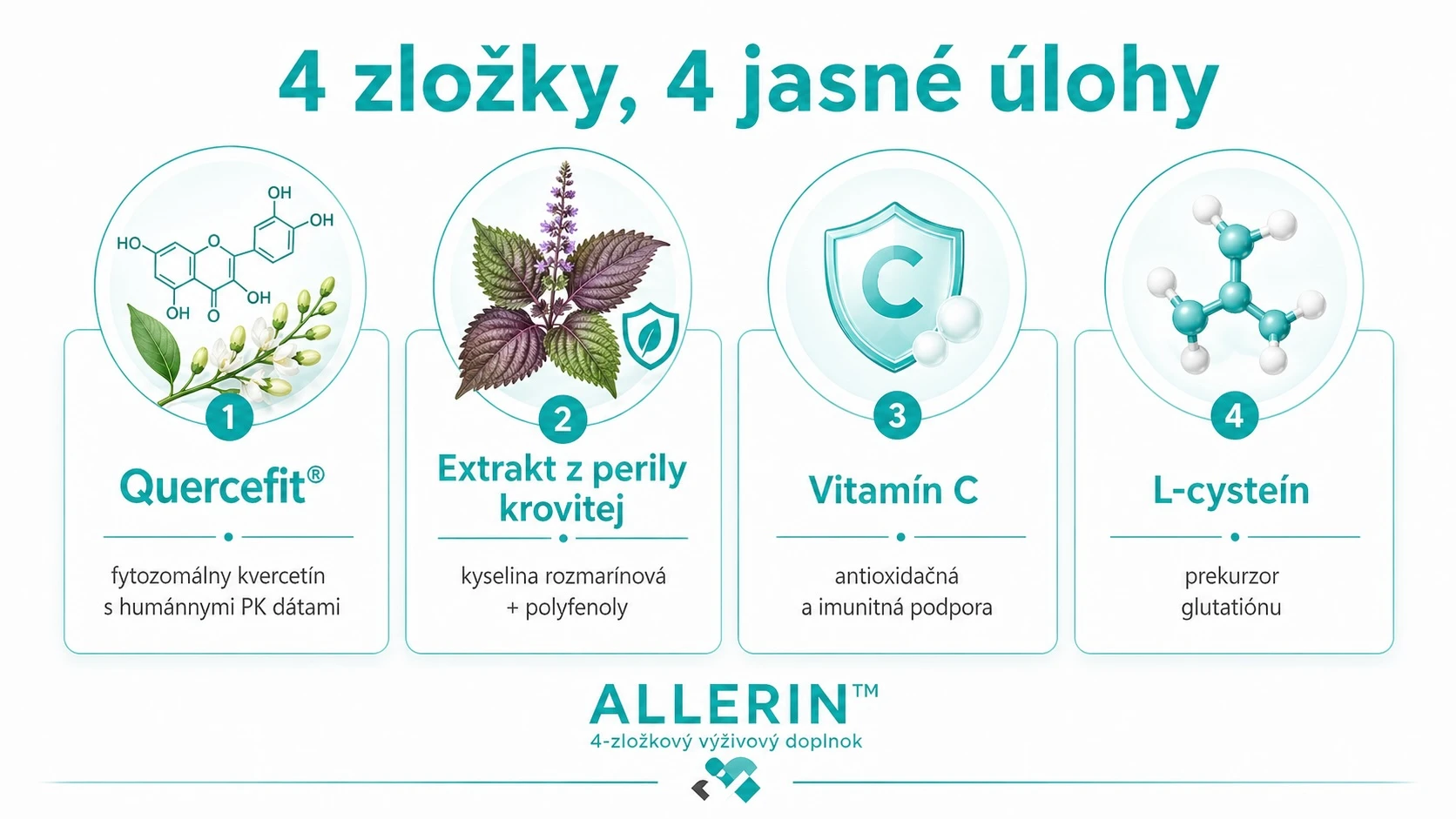 štyri hlavné zložky ALLERINU