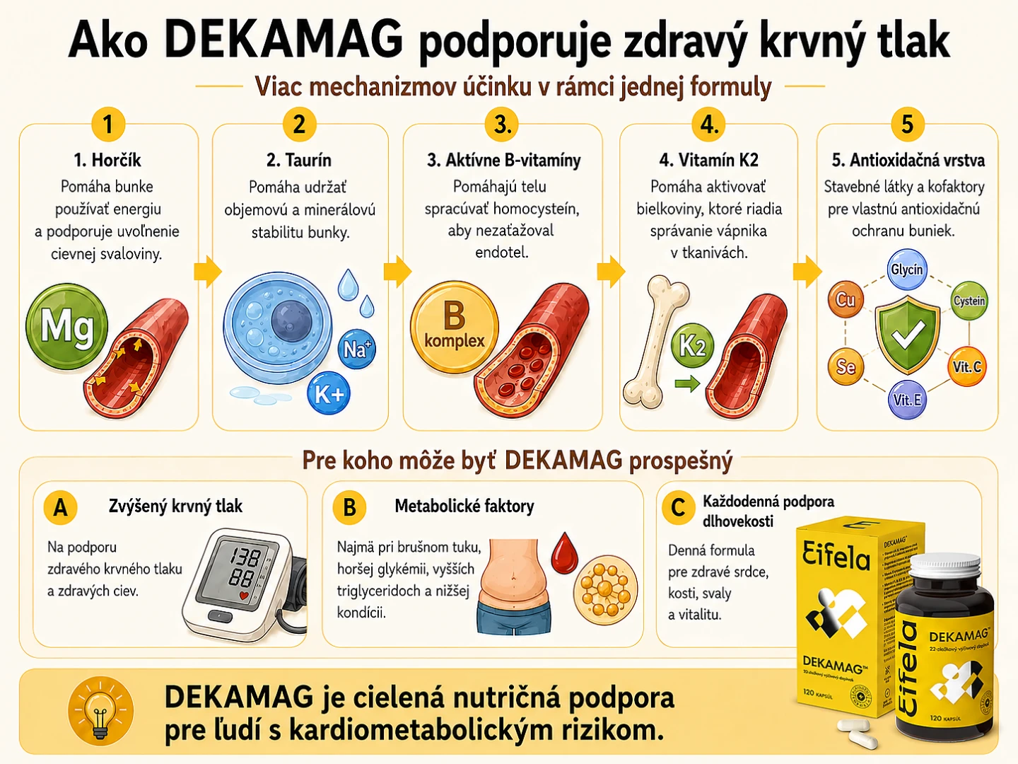 Ako DEKAMAG podporuje zdravý krvný tlak. Viach mechanizmov účinku v rámci jednej formuly. 