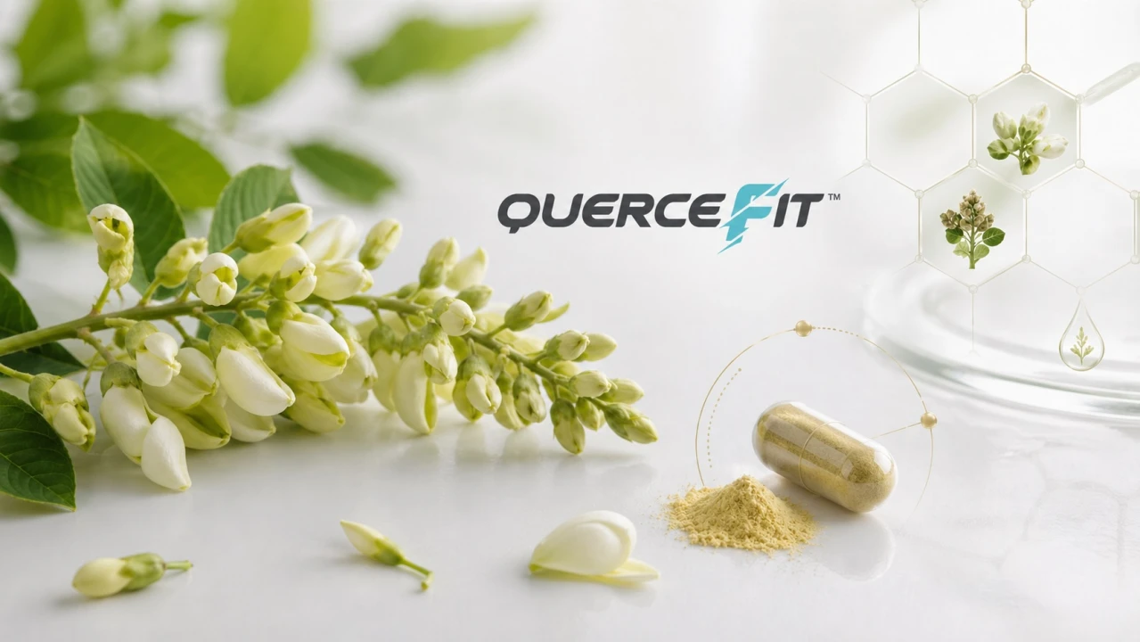 Kvercetín novej generácie: čo je Quercefit® a prečo sme ho zvolili do ALLERINu